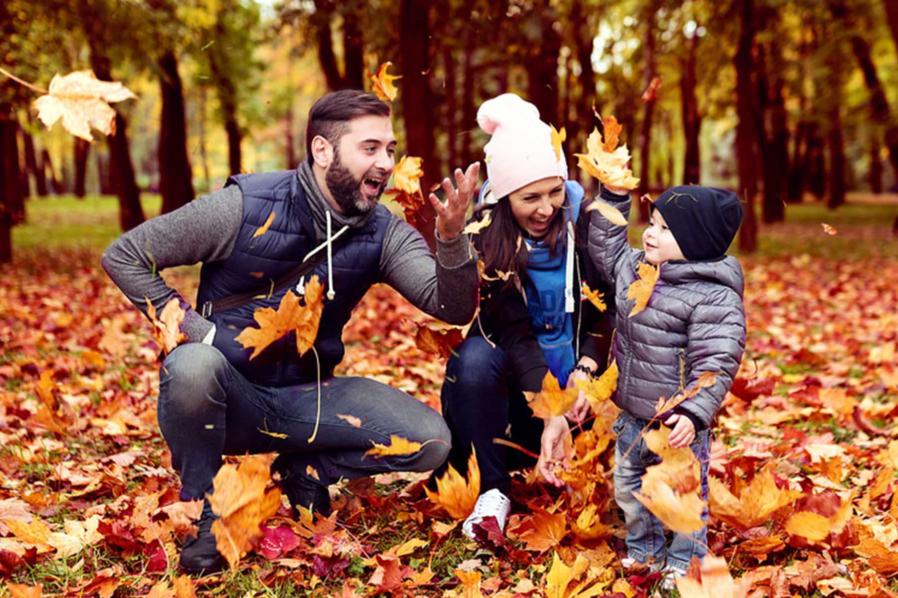 Fall_Carousel_2023-Life_2